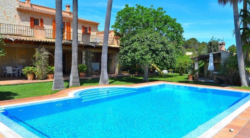 Photo of Palm Tree Sway