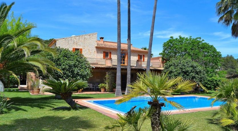 Photo of Palm Tree Sway