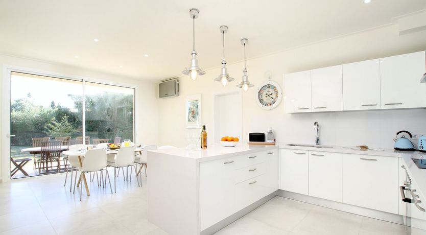 Photo of Where the Palm Trees Grow