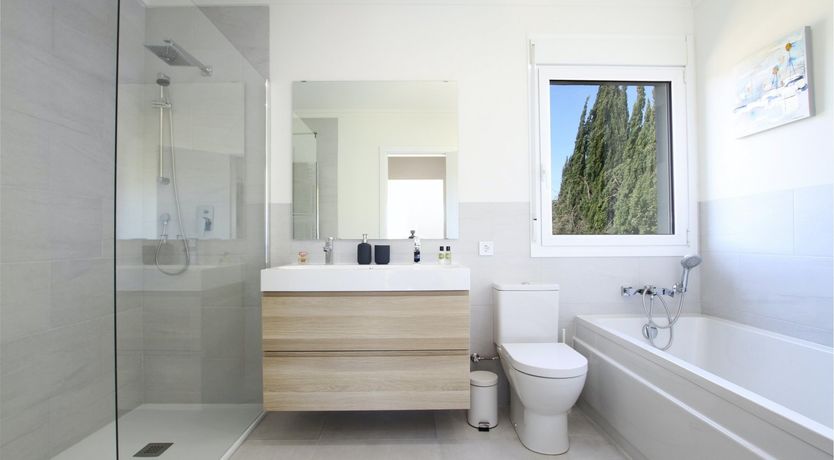 Photo of Where the Palm Trees Grow