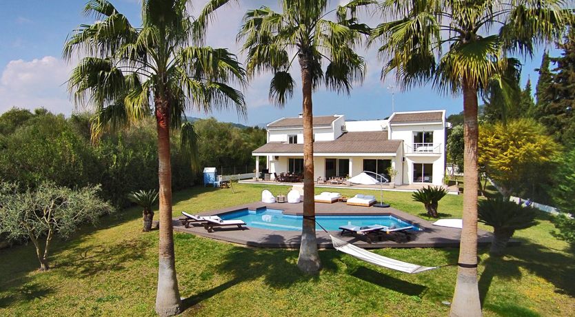 Photo of Where the Palm Trees Grow