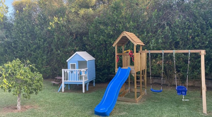 Photo of Where the Palm Trees Grow