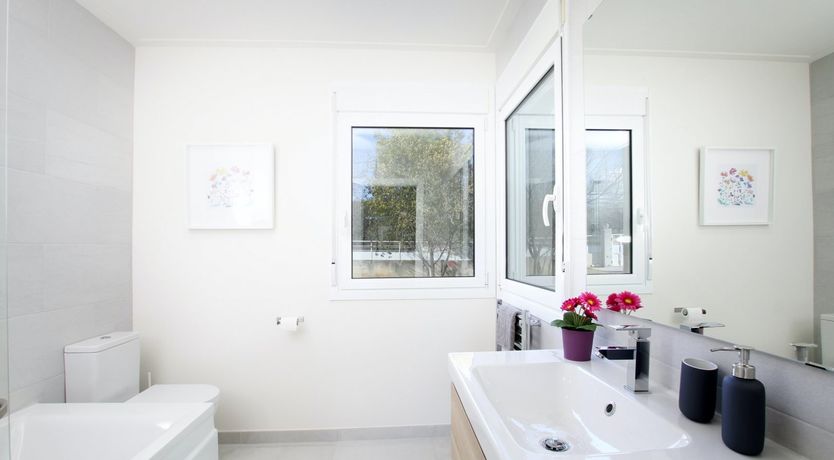 Photo of Where the Palm Trees Grow