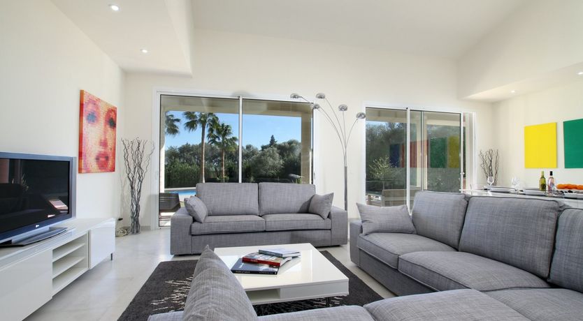 Photo of Where the Palm Trees Grow