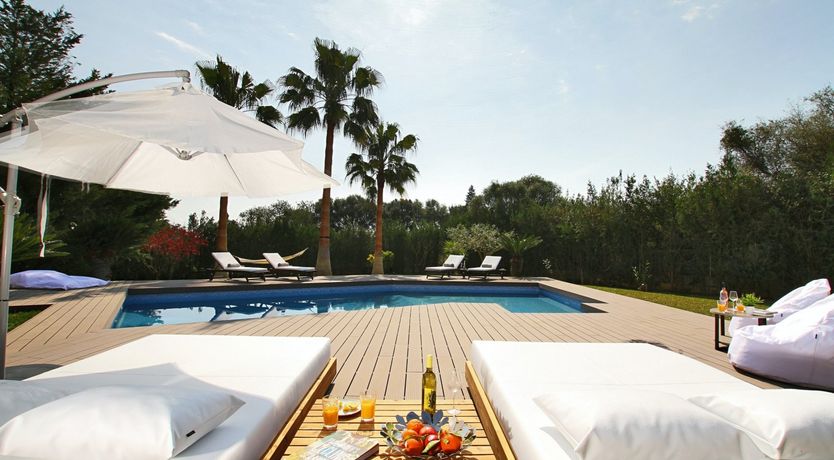 Photo of Where the Palm Trees Grow