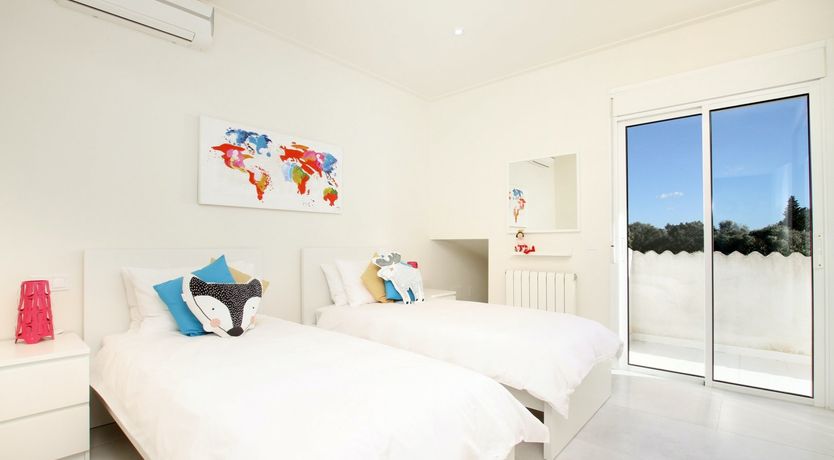 Photo of Where the Palm Trees Grow