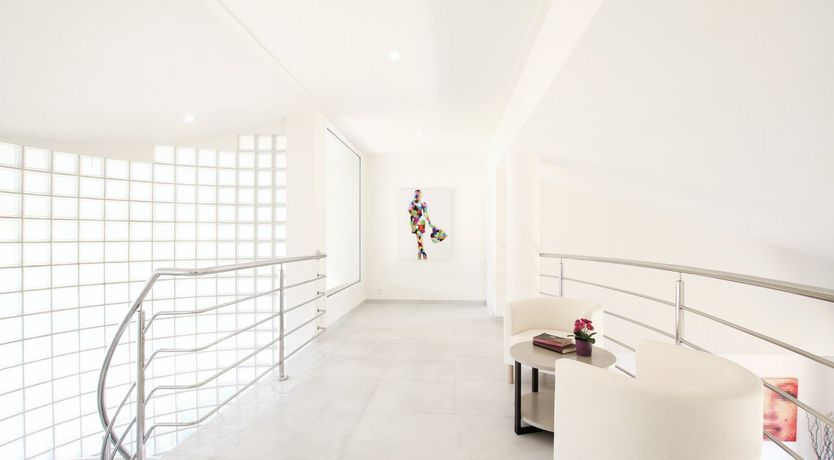 Photo of Where the Palm Trees Grow