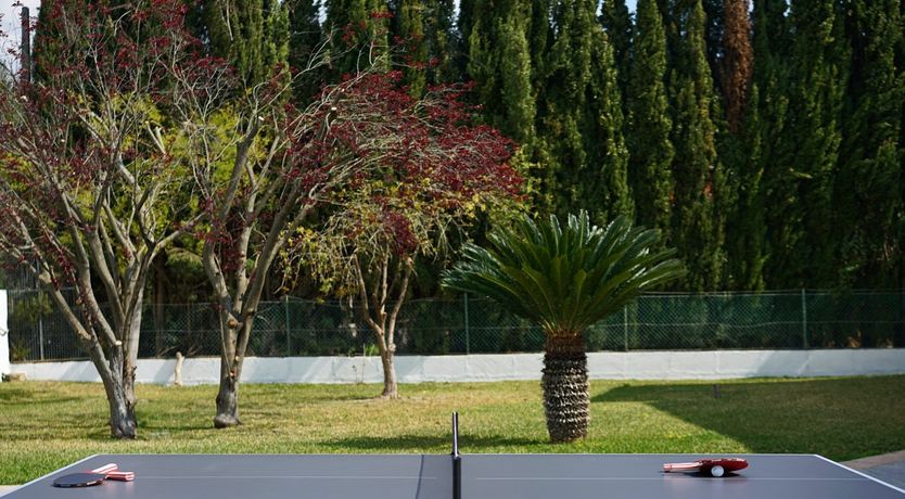 Photo of Where the Palm Trees Grow