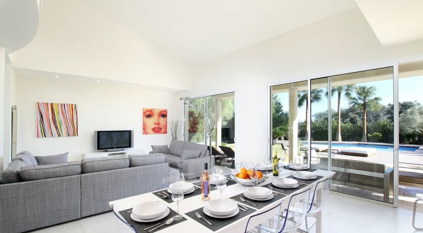 Photo of Where the Palm Trees Grow