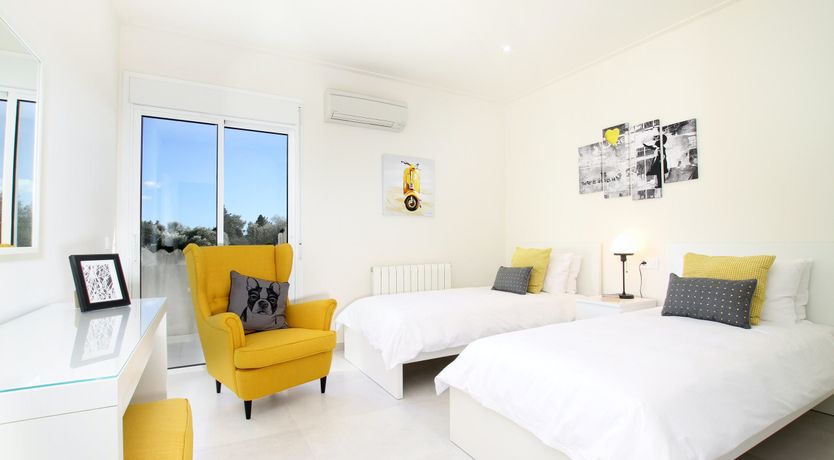 Photo of Where the Palm Trees Grow