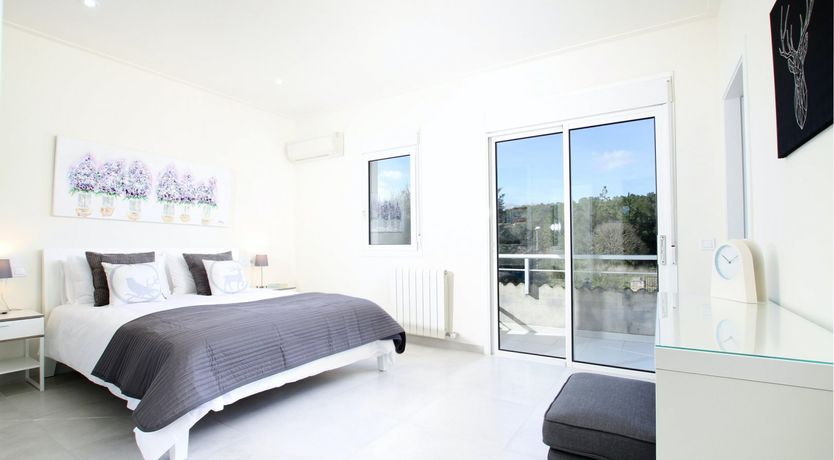 Photo of Where the Palm Trees Grow