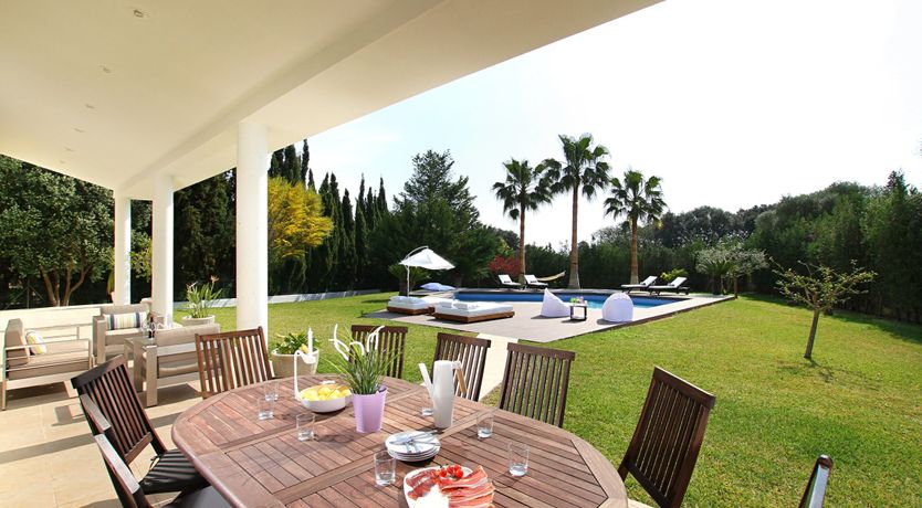 Photo of Where the Palm Trees Grow