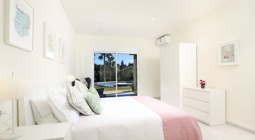 Photo of Where the Palm Trees Grow