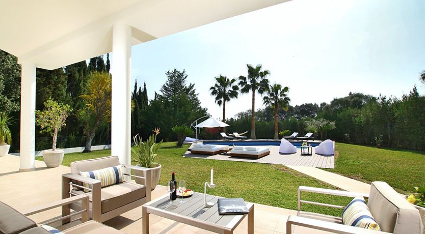 Photo of Where the Palm Trees Grow