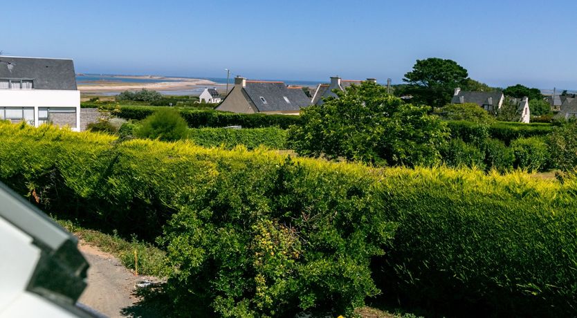 Photo of Sumptuous Simplicity