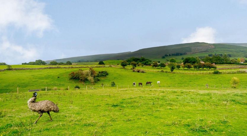 Photo of 1 Bed in Melmerby