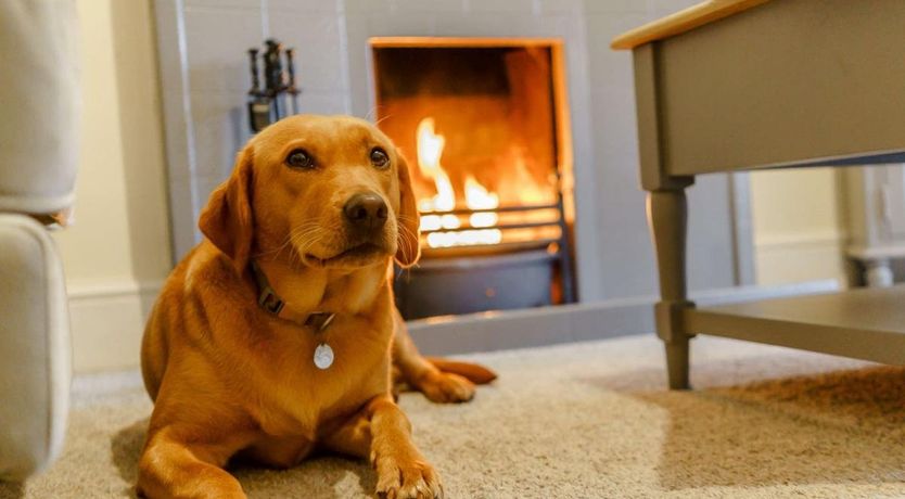 Photo of 4 Bed in Foxfield