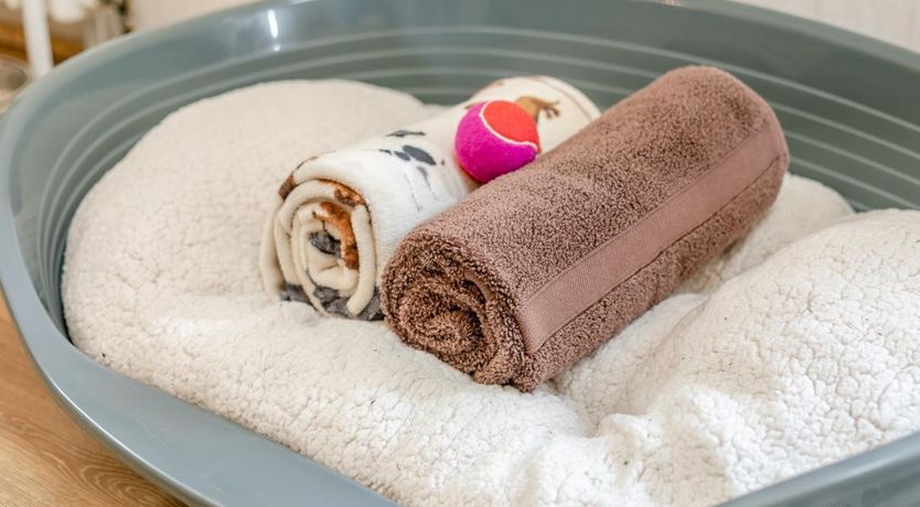 Photo of 3 Bed in Nancegollan