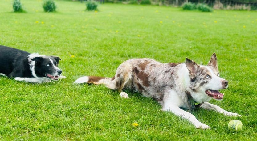 Photo of 2 Bed in Carnforth