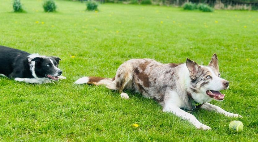 Photo of 2 Bed in Yealand Redmayne