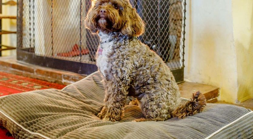 Photo of 4 Bed in Dunster