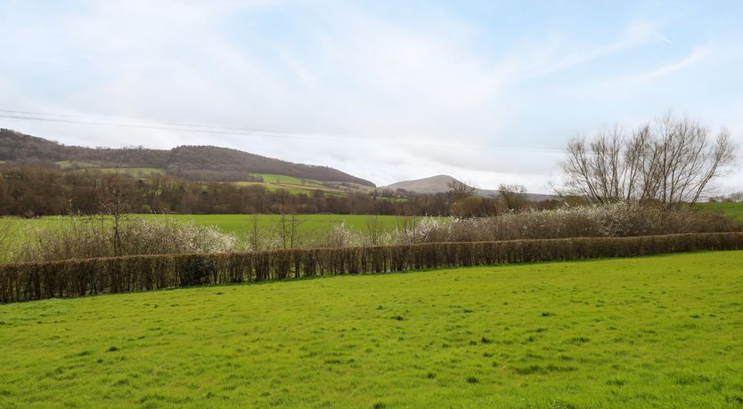 Photo of Sunny Cottage