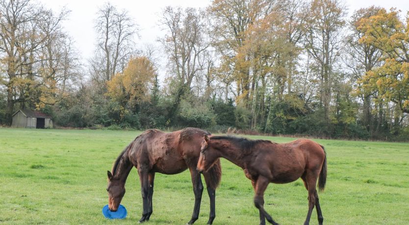 Photo of Palmers Green Cottage