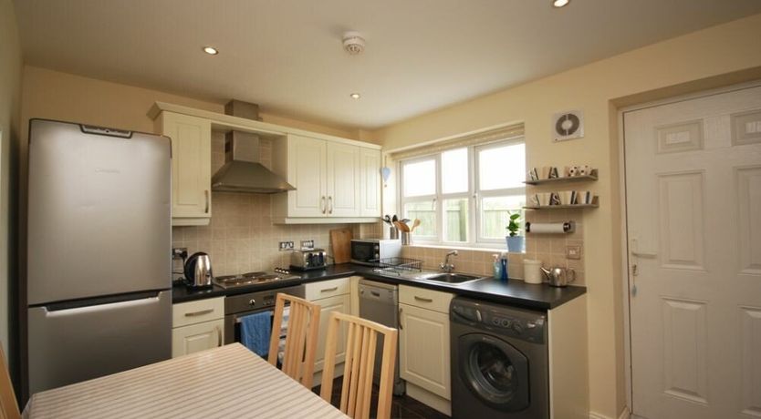 Photo of House Martins (Beadnell)