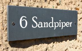 Photo of Sandpiper (Alnmouth)