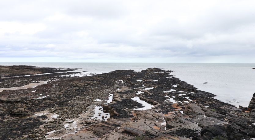 Photo of Barnacle Cove