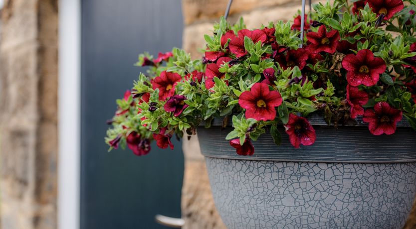 Photo of Bilton Farm Cottage No1