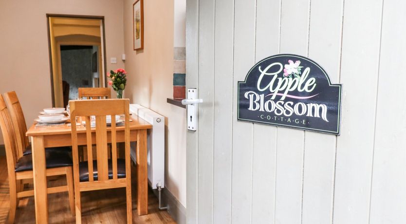 Photo of Apple Blossom