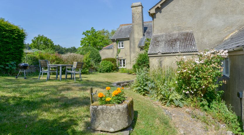 Photo of Apple Blossom