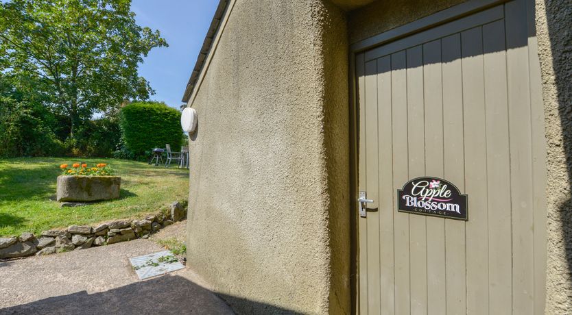 Photo of Apple Blossom