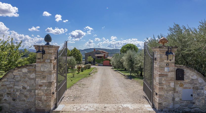 Photo of Where the Cypresses Sing