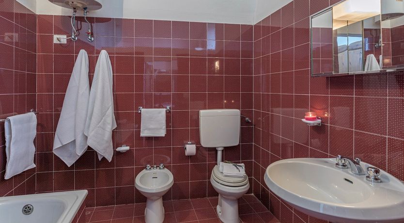 Photo of Where the Cypresses Sing