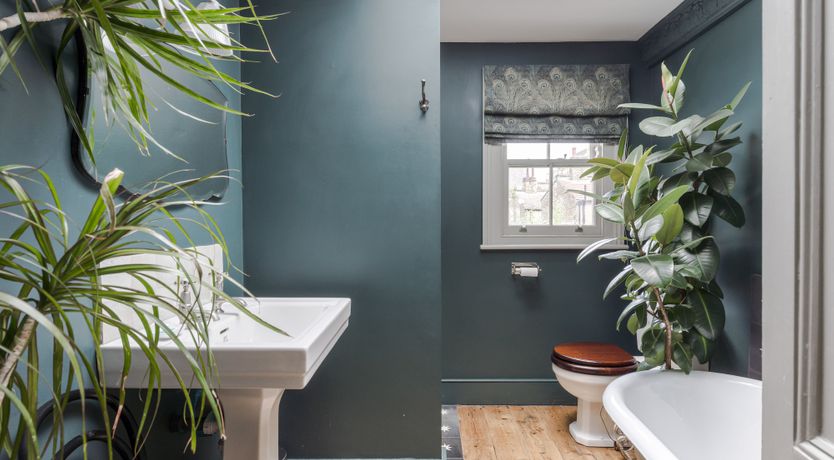 Photo of Midnight Blue Valentine