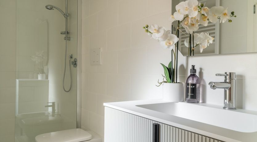 Photo of Rose of the Water