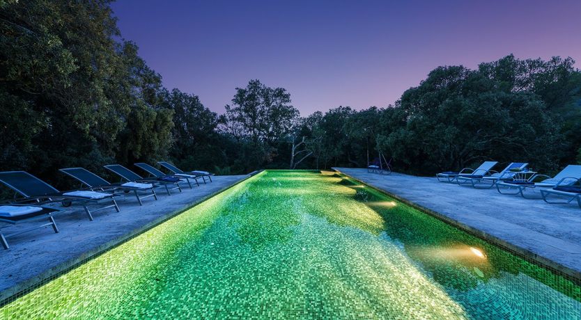 Photo of Shades of Jade