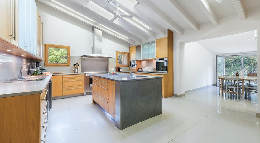 Photo of Shades of Jade