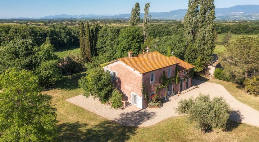 Photo of Mosaic of Nature