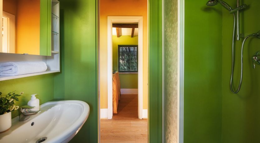 Photo of Mosaic of Nature