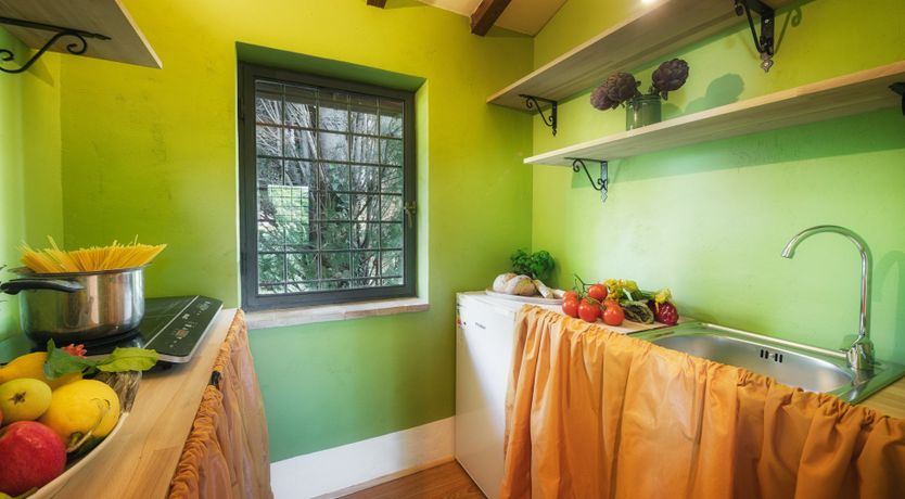 Photo of Mosaic of Nature