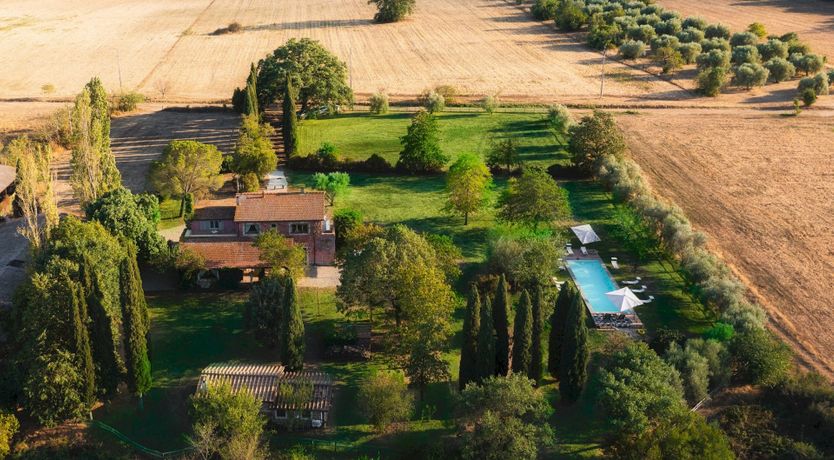 Photo of Mosaic of Nature