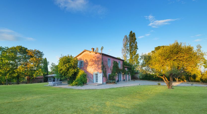 Photo of Mosaic of Nature