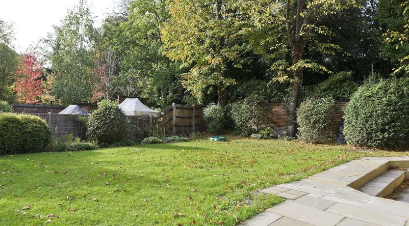 Photo of Hampstead Hedgerow