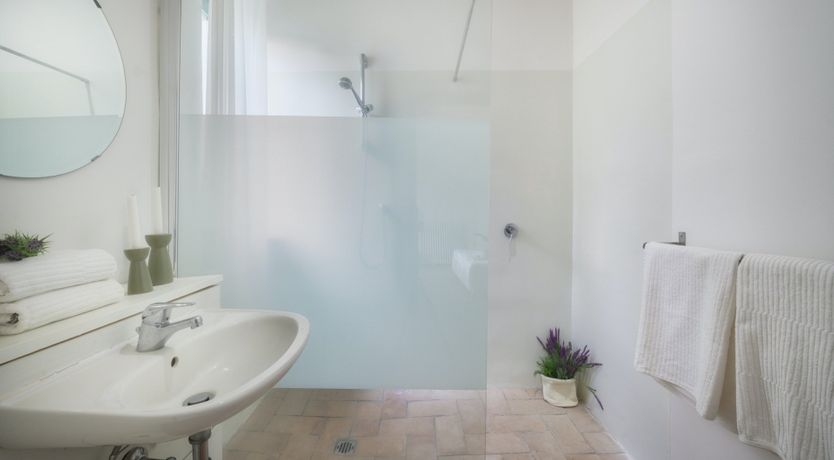 Photo of That Old Chestnut