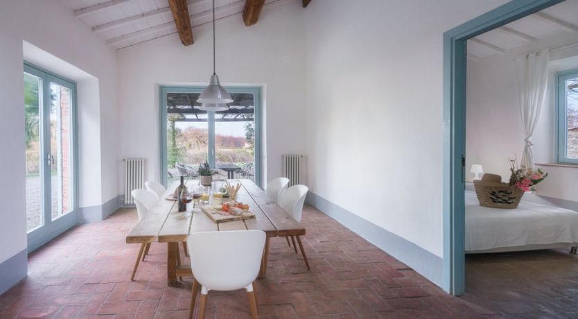 Photo of That Old Chestnut