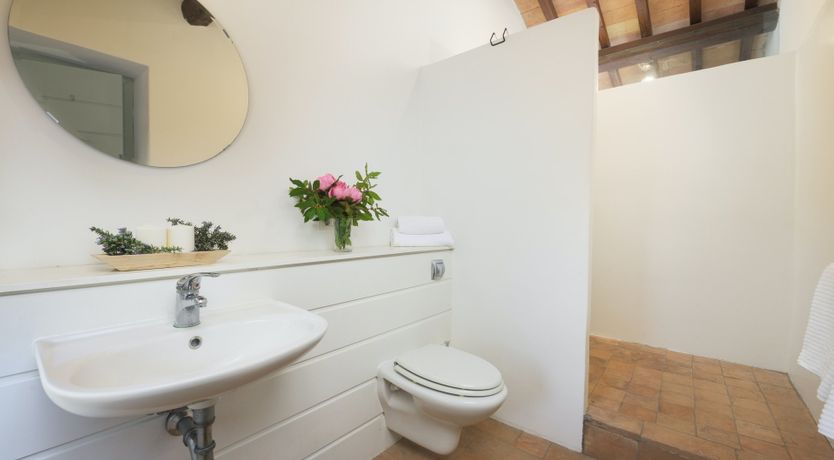 Photo of That Old Chestnut