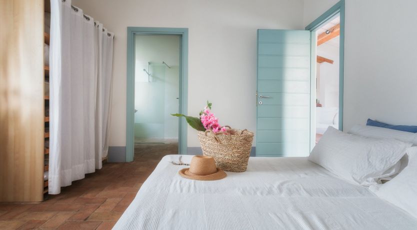 Photo of That Old Chestnut